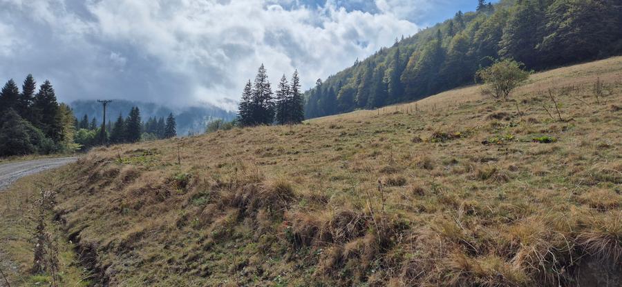 Teren deosebit in cadru de poveste langa cabana Diham, Glajerie