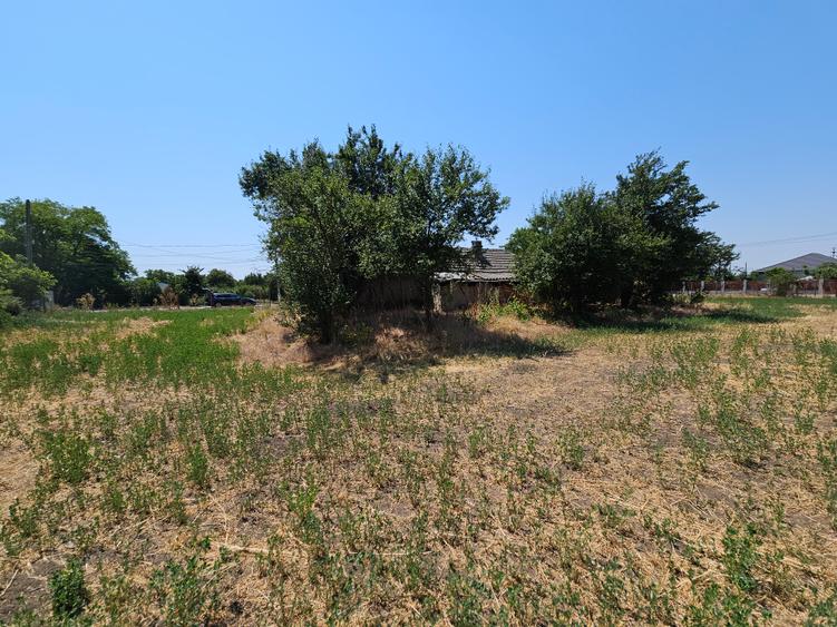 Teren 5.465 mp intravilan și front stradal – Topraisar, Constanța Comision Zero