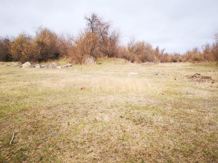 Vând teren agricol  2 ha cu deschidere la Dunăre