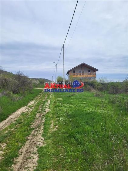 Vanzare teren 35.000mp Stefanesti -Arges-Comision 0% - 2