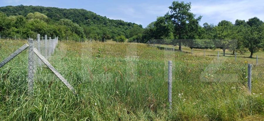 Teren extravilan de 1000 mp, situat pe strada Ghinzii - 7