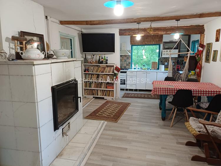 Vrancea - Nistoresti ! Vanzare ! Vila cu personalitate si potential turistic ! - 6