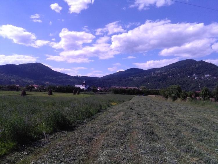 Teren intravilan , Vadurele