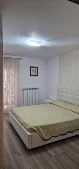 Apartament 2 camere ultracentral (parc  Junior)
