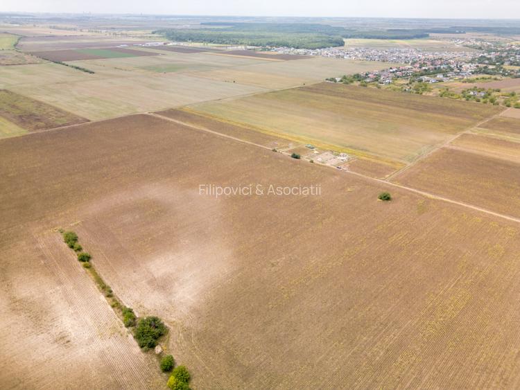 DASCALU – TEREN INTRAVILAN 11300 MP, INVESTITIE! - 15