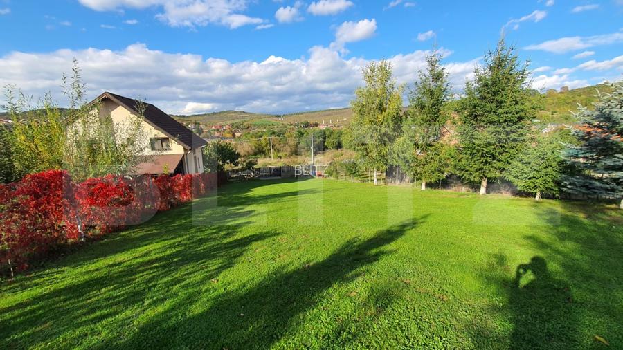 Cabana cu teren generos, 1824 mp, acces din 2 străzi – Livezeni - 5