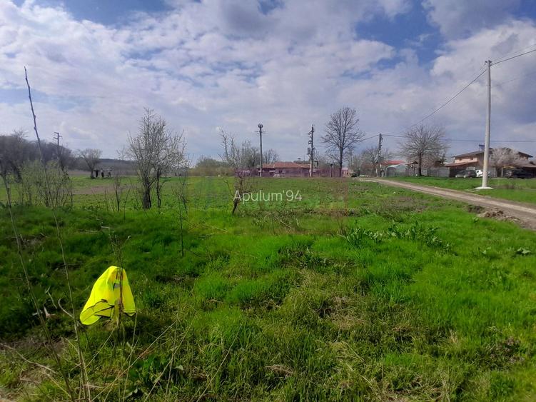 DE VANZARE TEREN 3400 MP IN SAT PODU ILFOVAT / COM BUTURUGENI (GR) - 19
