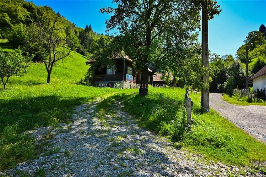 FILM! Proprietate autentica, Bran-Simon, 4.300 mp teren, casa traditionala + ane - 53