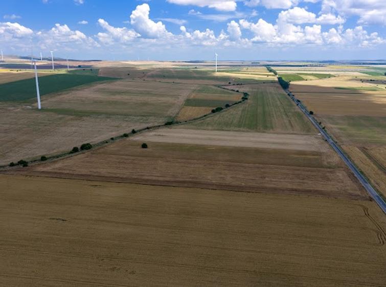 Vând teren agricol la șosea de 30.000mp în Iazurile comuna Valea Nucarilor
