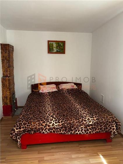 Ansamblu cabanute zona Cozieni