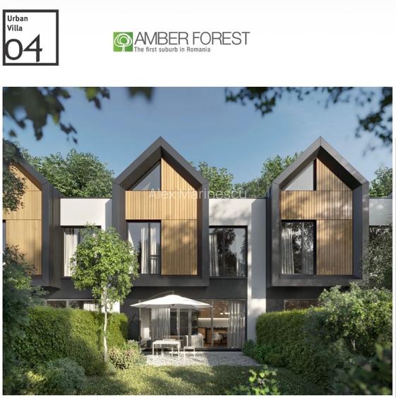 Vila 4 camere AMBER FORST - 2