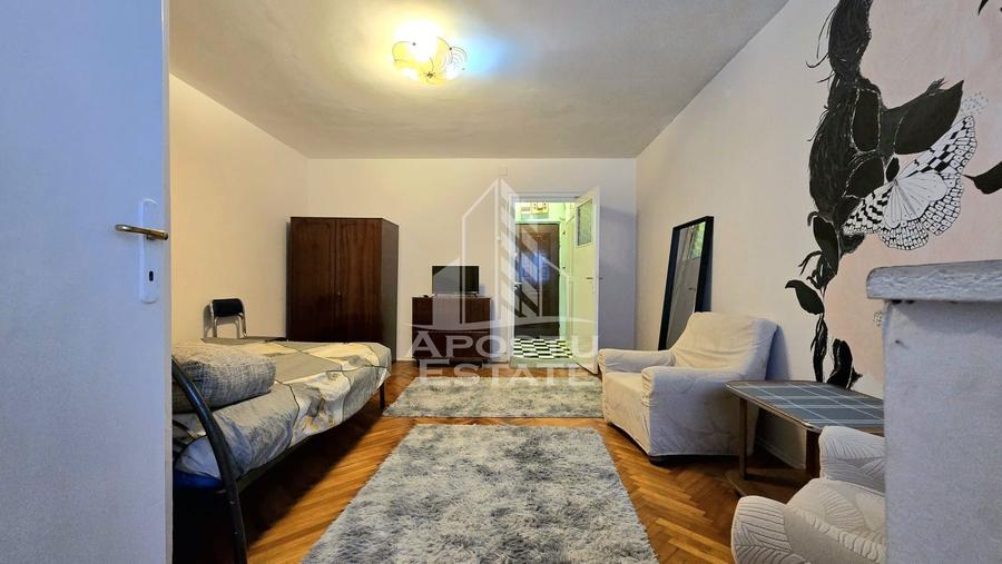 Apartament o camera nedecomandat zona Take Ionescu