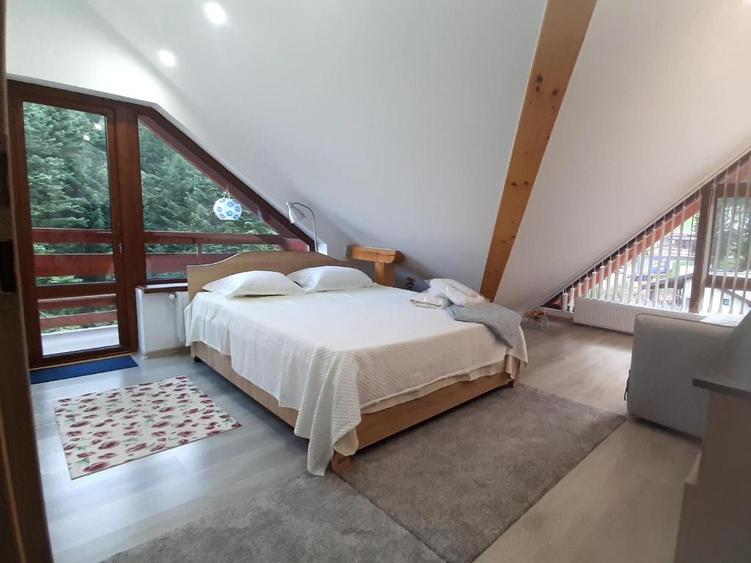 Apartament 2 camere vedere la Bucegi