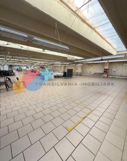 Spațiu industrial / birouri / hala - 1500 mp – Bd. Muncii, Cluj