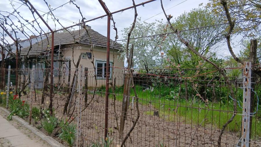 Casa de vanzare CELARU-APELE VII Dolj teren 8481 mp - 3
