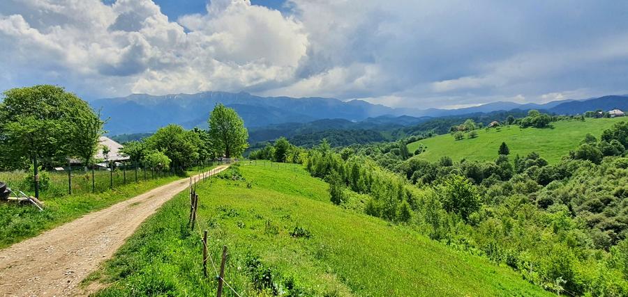 Teren pentru casa de vacanta , Pestera , Brasov
