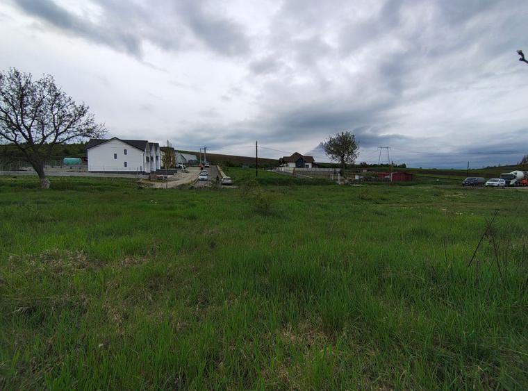 Teren constructie P+M, Sura Mare- Hamba, 717mp, utilitati