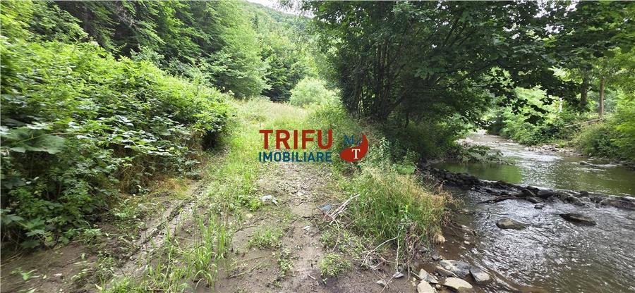 Teren ideal pentru cabană sau pensiune în Poiana Galdei