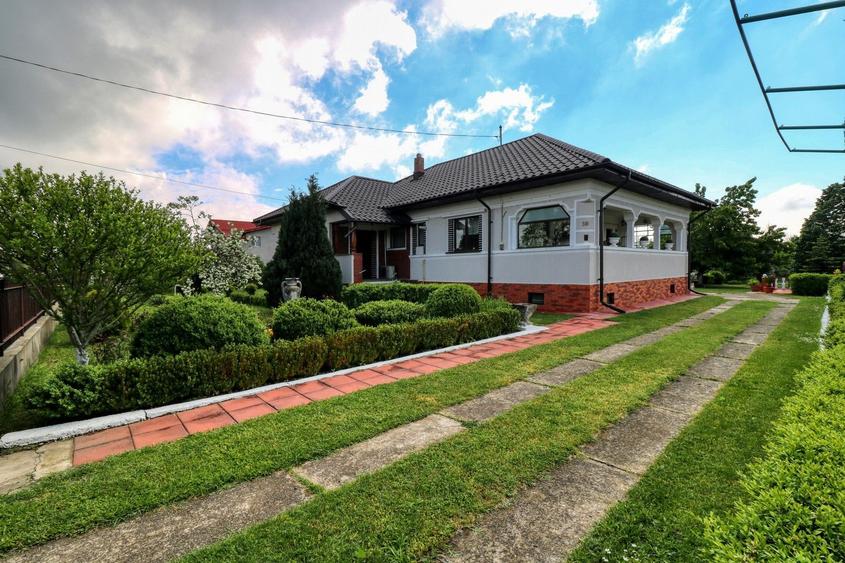 Oportunitate - Casă boierească de poveste- 7000 mp teren