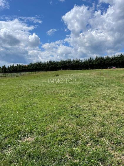 INVESTIȚIE | Teren 5000 mp PUZ APROBAT intravilan - zona Sohodol -Bran - 7