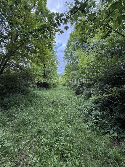 Teren plat-intravilan -3800 mp, cu pădurice și ieșire la râu! - 17