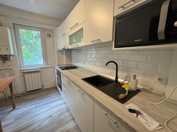 Apartament cu 2 camere Tatarasi - 5