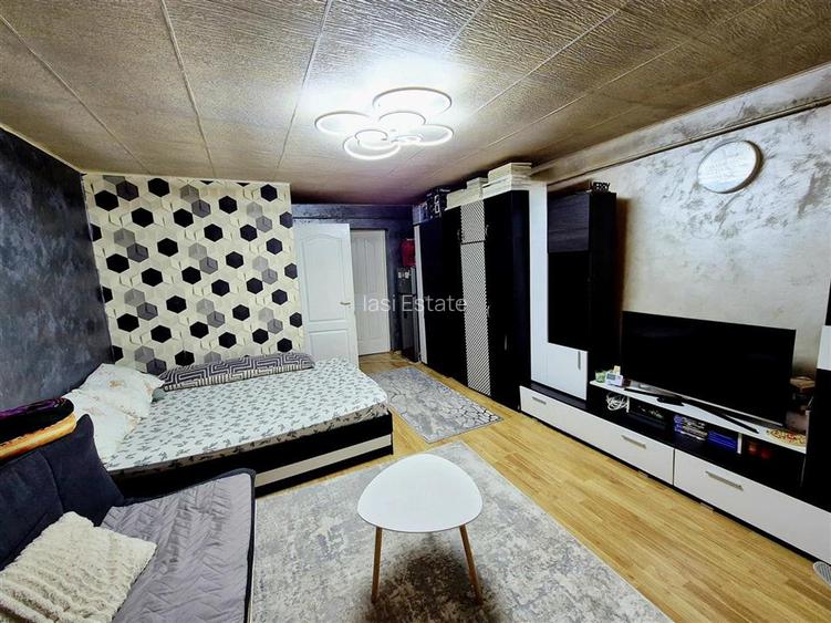 Apartament cu 1 Camera de vanzare in Dancu - 3
