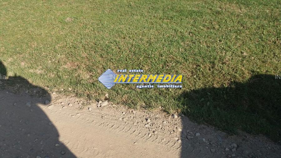 OCAZIE! Teren Intravilan OARDA de 500 mp deschidere 18 m. cu toate utilitatile - 3