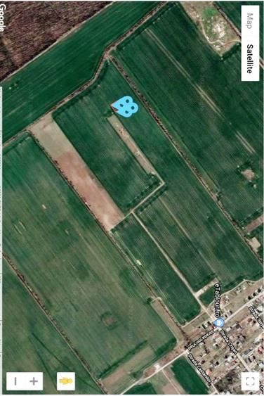 Vanzare 1000, 2000 sau 3000 mp teren intravilan in Buftea langa padure