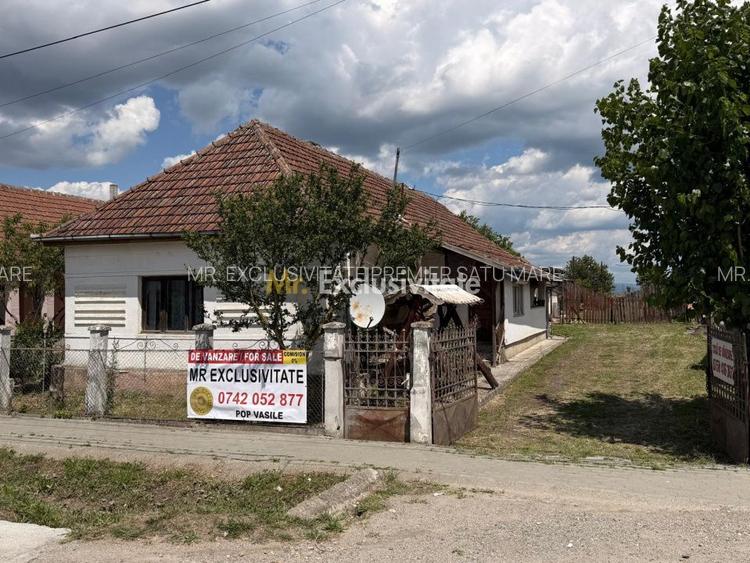 Casa de vânzare in Livada , Satu Mare - 60