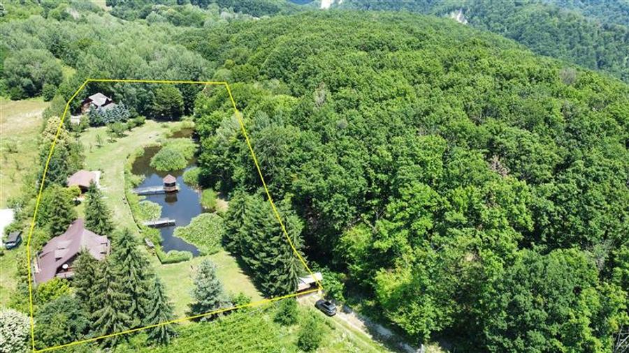 DOMENIU DE 2.1 HA CU 2 CABANE, LAC SI PADURE - OPORTUNITATE PENTRU TURISM SI RET