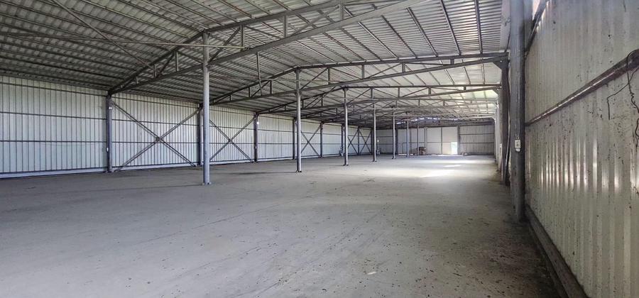 Hala 1.533 mp cu teren 5.000 mp – Vanatori, zona Maylo