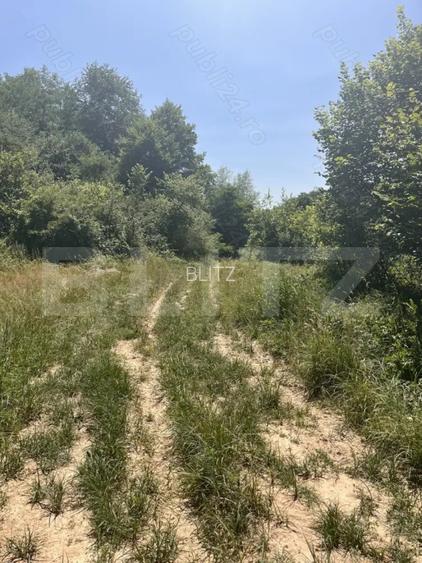 Teren extravilan de vanzare, 2.900 mp, in sat Sintesti, comuna Margina - 2