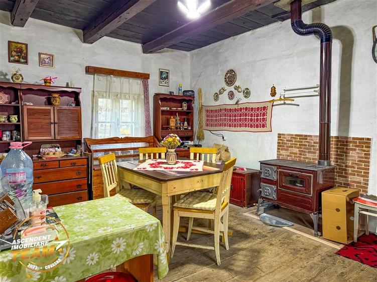 FILM! 3.000 mp teren intravilan cu proprietate traditionala de poveste,Zagon,Cov