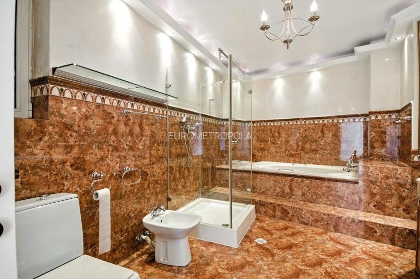 Vila cu arhitectura deosebita, adiacent Bd-ului  Lascar Catargiu, refacuta - 15