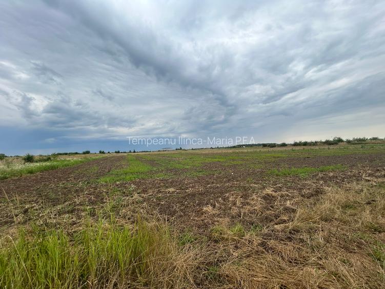 Vanzare Teren Extravilan 20.113 mp Otopeni Odai deschidere la 2 strazi, - 4