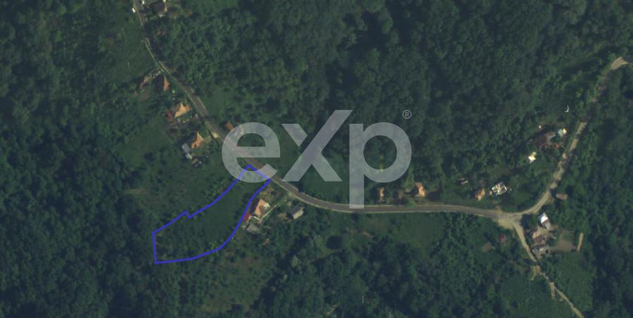 Teren intravilan 3052 mp | Băcești, Drăganu | asfalt | utilități la poartă