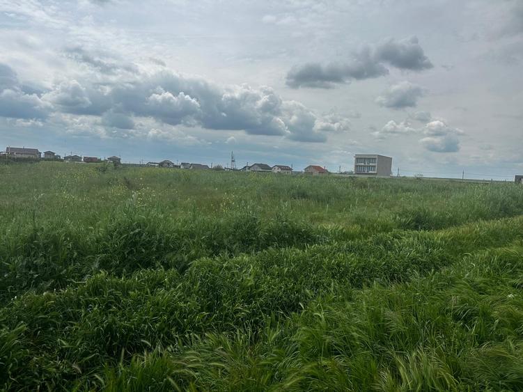 Constanta - Tuzla - teren intravilan 1000mp