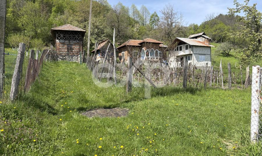 14.613 mp teren | Casă la roșu și 2 case tradiționale | 1,5 km de A1 Tigveni - 5