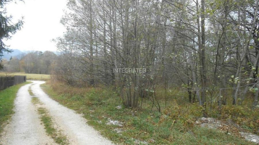 Teren intravilan - 2.740 mp, Predelut - 5