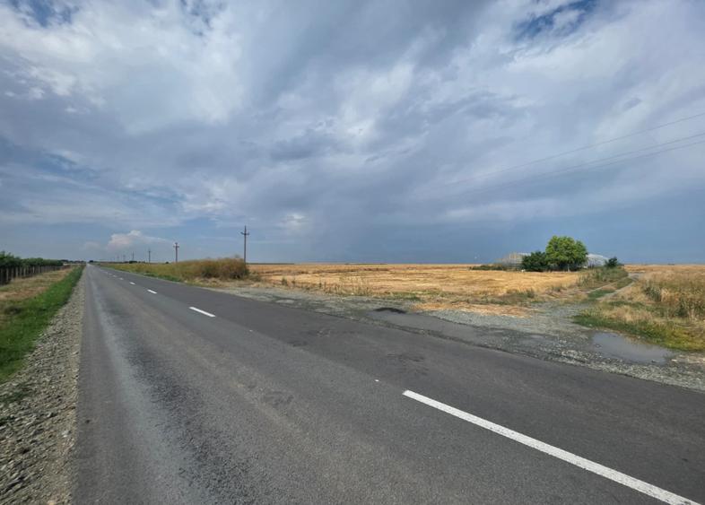 Teren intravilan 7ha, deschidere 234m la drum județean, Mihail Kogălniceanu