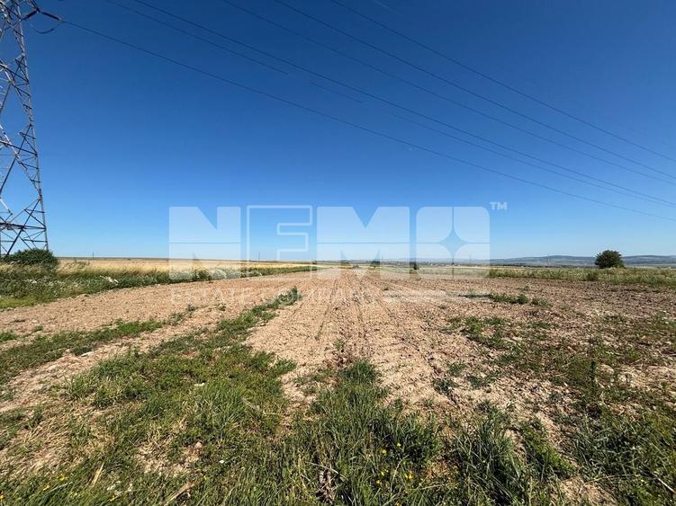 Teren intravilan | 1300 MP | 1000€  arul
