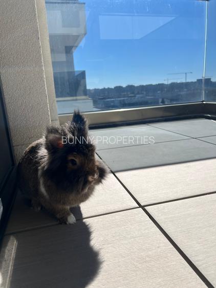 Babu's Luxury Apartement at Novum Politehnica Iuliu Maniu! - 18