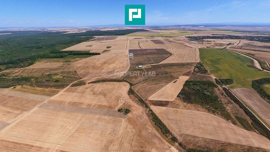 Teren intravilan agricol 558.500 mp Chevereșu Mare - 4