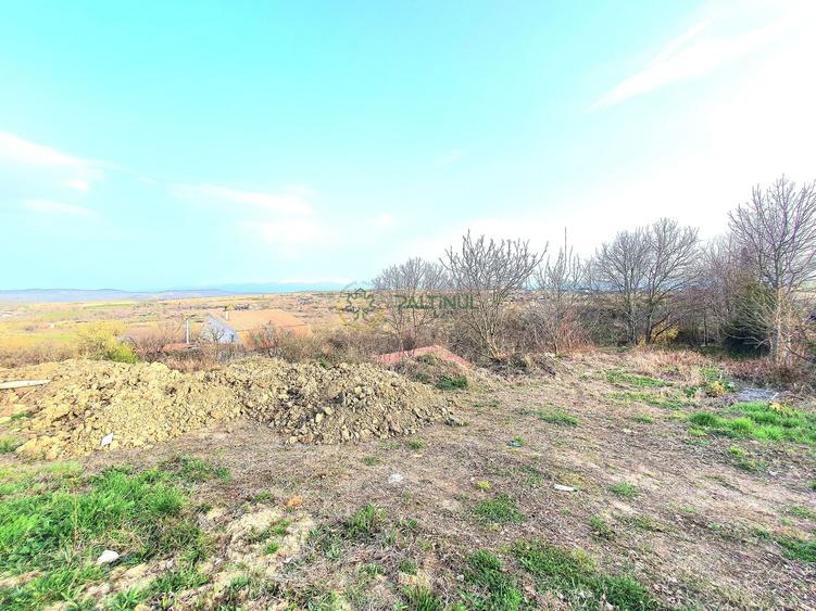 Descoperă Daia: Teren Intravilan 1000mp cu Vedere Superbă