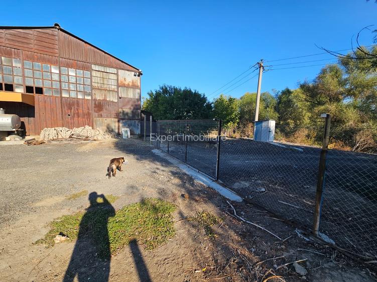 Oportunitate Teren deschidere la E87 Smardan Tulcea - 3