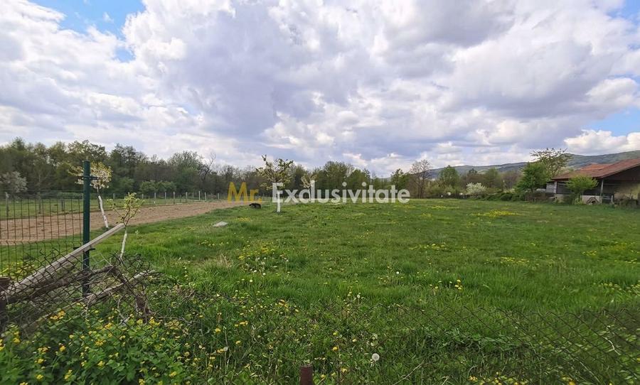 Teren mixt de vânzare Crasna Gorj, aproape de Rânca– 19.209 mp