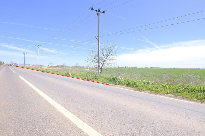 Dascalu, 65.000 mp. teren intravilan cu deschidere de 105 ml. la DJ200 - 3