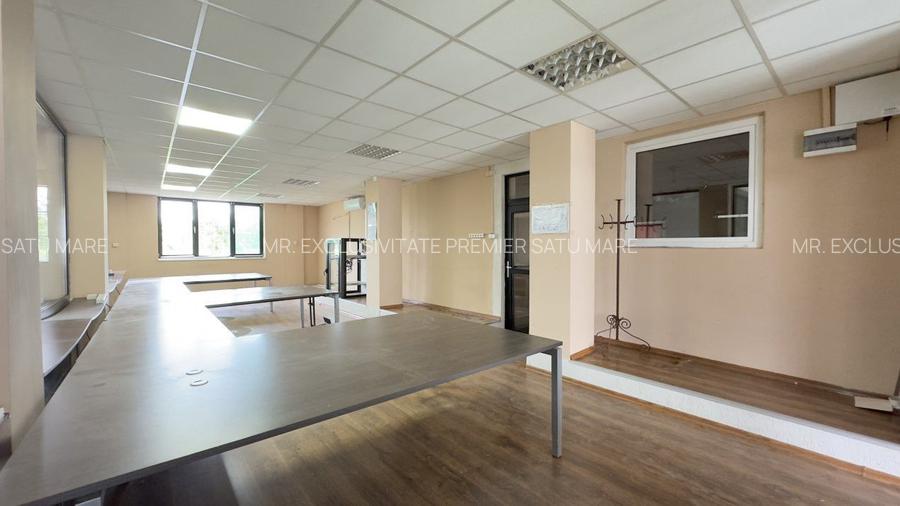 Inchiriere Clădire Producție, Depozitare, Birouri-Teren 3140 mp - Carei - 16
