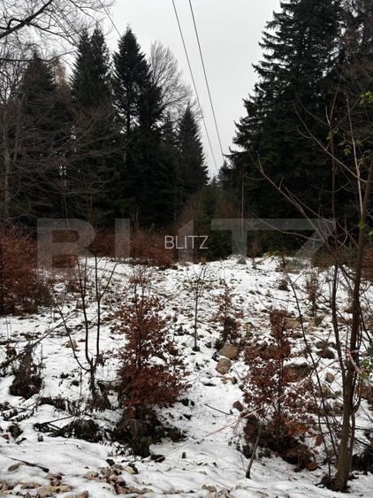 Teren unic, exclusivist  4000 mp, in inima muntilor, Sinaia - 10